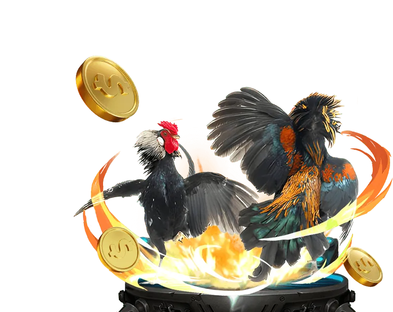 Chiến lược chơi đá gà thông minh